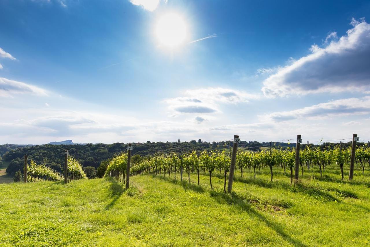 Apartmán Himmlisch Urlauben Söchau Exteriér fotografie